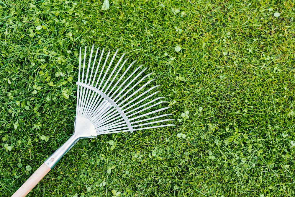 Grabie fiskars